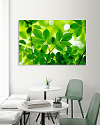 Zelený obraz s listami zs1189